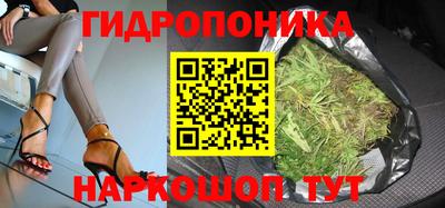спиды Бийск