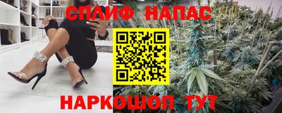 спиды Бийск