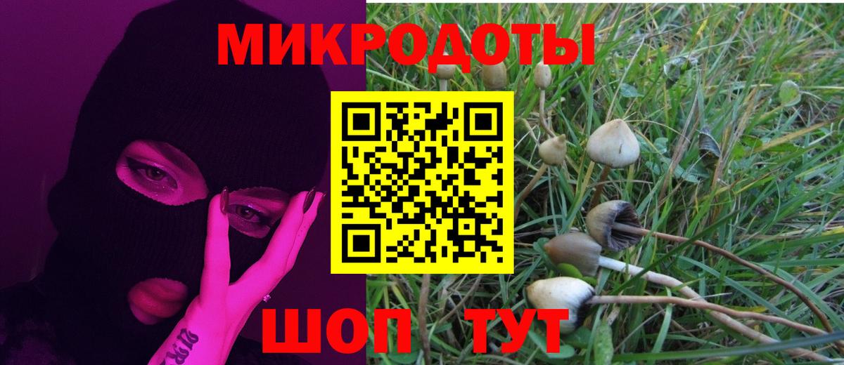 Псилоцибиновые грибы Psilocybine cubensis Гурьевск